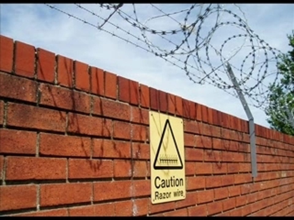 MonaVie:  Business Scam Review