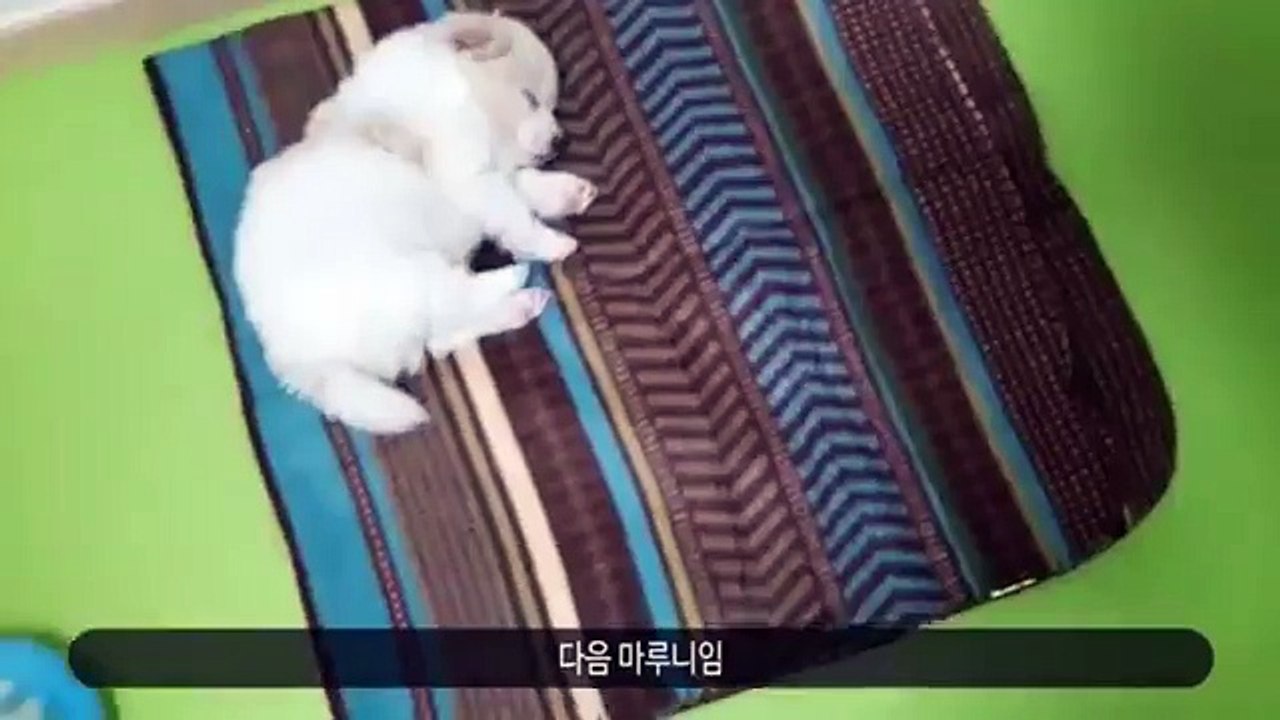 경산콜걸 카톡:HIS55 {주소HIS34.NET} 경산출장샵ポ일본인출장만남ポ경산출장샵추천ポ경산출장안마ポ출장마사지ポ경산콜걸샵강추ポ경산애인대행ポ경산콜걸만남ポ경산출장업소