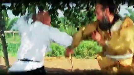 Short Tribute To Jet Li Shaolin Temple Trilogy the series that started the Jet Li legacy