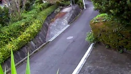 EDR October #2 2017 Tail, Helicopter, Two Aircraft