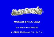 Moscas En La Casa - Shakira (Karaoke)