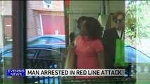 Man Arrested for `Viciously` Punching Elderly Woman on Chicago Train