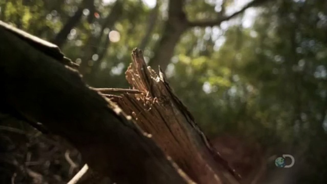 Alien Mysteries S01e06