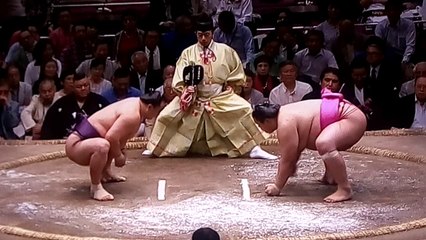 蒼国来 vs 英乃海 2018年大相撲夏場所6日目 20180518