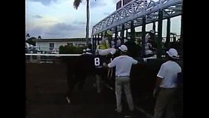 3d경마게임,3d온라인경마게임 ^RACC88.CoM^라이브경마