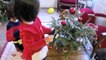 VLOG - Nos CHATS ouvrent leurs CADEAUX de Noël ! JOUET, COLLIERS et DVD pour chats