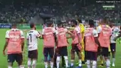 Confusão Completa  Palmeiras 1 x 1 Flamengo 13 06 2018