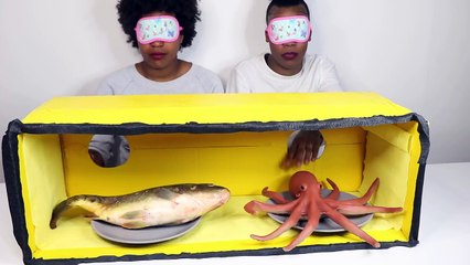 Real Food VS Gummy Candy - What's Inside The Box Feel Challenge- Vrai ou fausse nourriture -