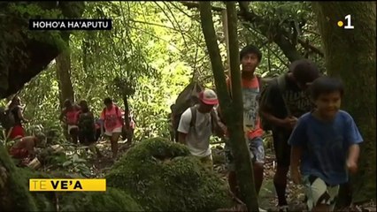 TH : La saison des oranges : les cueilleurs se préparent