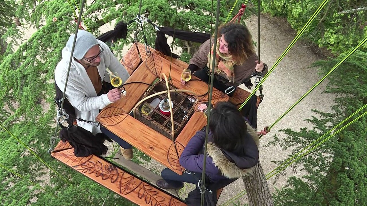 Weinprobe im Baumwipfel: Der Sauternes geht neue Wege