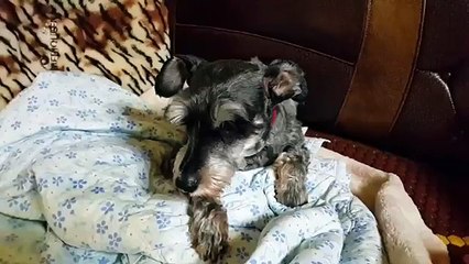 [충주출장샵]『카톡HIS55 홈피HIS35,NET』충주콜걸 일본인출장만남 충주출장안마 여대생콜걸샵추천U 충주콜걸만남 충주출장업소 충주미시만남업소 충주모텔출장강추 충주출장마사지 충주애인대행