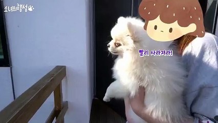 ヰ종로출장안마 종로출장샵//카톡：WHT79{//}초이스::WHT66.NET// ヰ종로콜걸ヰ종로출장업소ヰ종로애인대행 ヰ종로출장만남 ヰ종로여대생출장샵추천 콜걸만남 콜걸안마 콜걸마사지