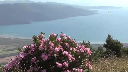 Sakin Kent"Te Bayram Bereketi