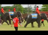 مباراة كرة قدم ولكن من نوع خاص.. شاهدها ..مباراة مع الفيلة لمحاربة المراهنات غير القانونية في مباريات #كأس_العالم 2018 - #تايلاند