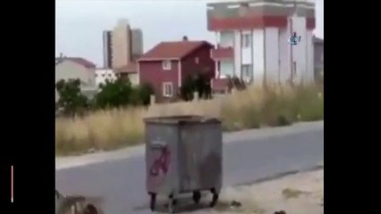 Çocukların gözü önünde köpeğine kediyi parçalattı