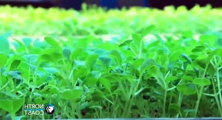 Ellie Real Good Food S02xxE09 Unboring Salads