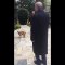 Sosyal medya Erdoğan'ın köpeğe salatalık verdiği videoyu konuşuyor