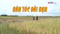 Bán tóc đãi bạn - Phần 2 (Hết) | Cổ tích Việt Nam