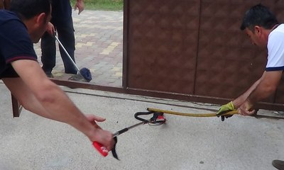 Yılan paniği kamerada