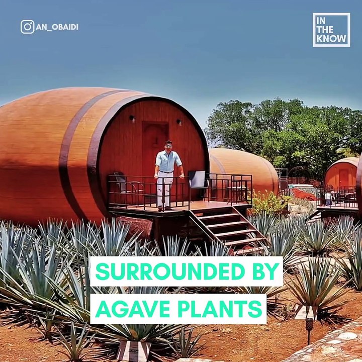 One tequila, two tequila, three tequila, floor!