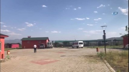 Otomobilin Çarptığı Köpeğe Vatandaşlar Sahip Çıktı