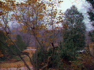 Erben des Fluchs  S01E10