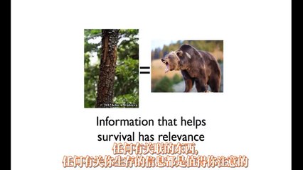 功夫英语-TEDx著名演讲：How to learnany language in 6 months