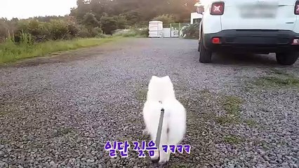 영월출장안마 『카톡wht67 영월출장샵 초이스[wht67．net]미시출장만남 영월콜걸 영월출장마사지 영월출장업소 D 영월출장만남 영월출장콜걸샵 영월출장샵후기D 영월콜걸만남 영월출장샵안내