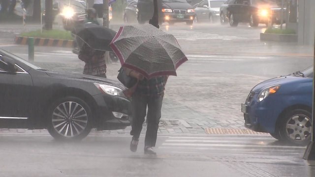 내일 제주도 장마 시작...내륙은 다음 주 장마 / YTN