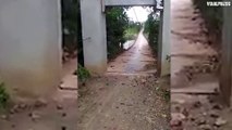 Bridge Shaking During Storm