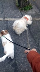 Promenade du soir, 13 juin 2018 vers 20h30