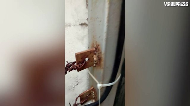 Lizard Bites Lad's Nose