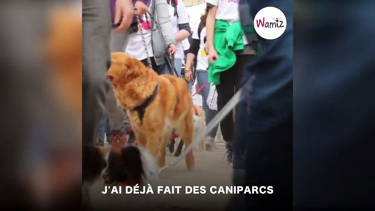 SQUEEZIE NOUS FAIT DE DRÔLES DE RÉVÉLATIONS SUR NATSU