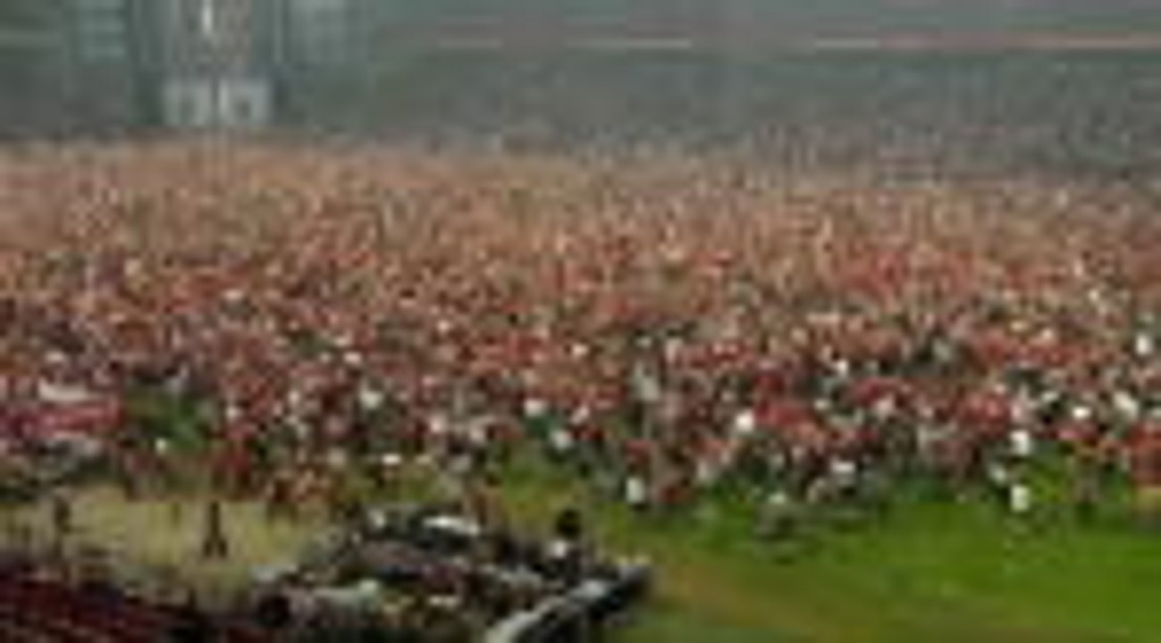 Denmark fans go crazy after winning goal
