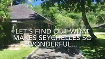 To celebrate #Seychelles National Day, we asked some of our team to tell us what they love about Seychelles. Tell us what you love most about our beautiful isla