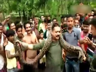 Bengal Forest Ranger Posed With Captured Python... What Happened Next...? Watch Video