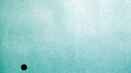 Blood dripping on white parchment paper