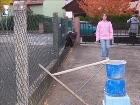 Nelly saut trop bien