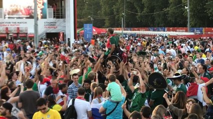 Mexico fan takes celebration to new heights in wheelchair