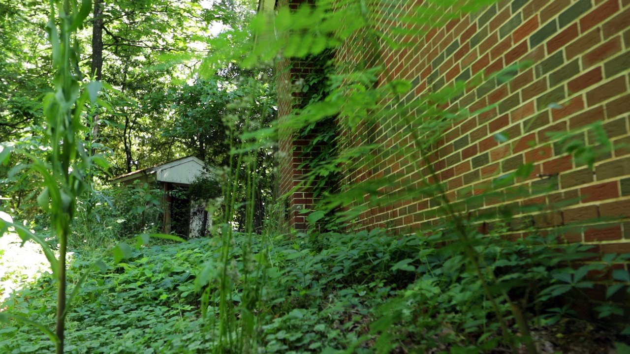 House in the Woods, loopable, royalty free.