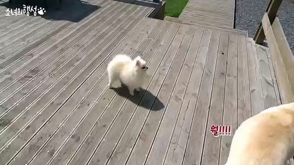 [춘천출장샵]≫춘천콜걸く[HIS34,NET] 춘천콜걸샵ヱ[카톡:HIS55] 일본인출장안마(추천)ヱ출장대행여대생출장만남ヱ미시콜걸만남ヱ춘천출장업소ヱ