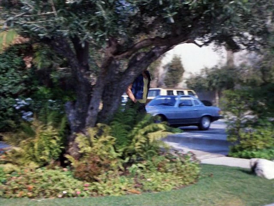 Hardcastle und McCormick  S01E23