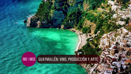 Vinos y Amigos Programa 198 Bloque 3