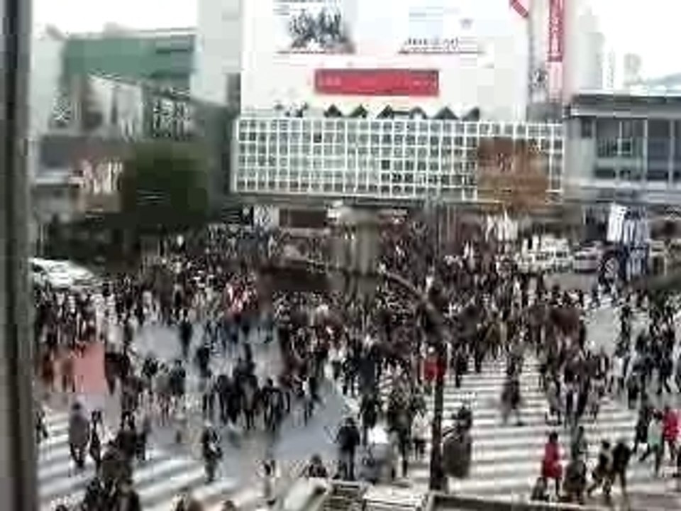 Shibuya Crosswalk