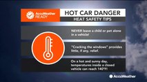 Countdown to Summer: Hot car dangers