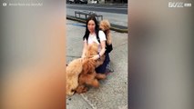 Woman quickly learns dog cuddles are the best cuddles