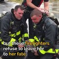 This kitten passed out in a burning house – but these firefighters refuse to leave her to her fate...These heroes deserve all the praise in the world ❤️
