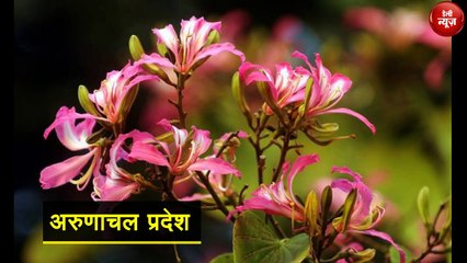 गर्मियाें में ठंड का मजा लेना है तो जरूर आइए Arunachal, खूबसूरती बेमिसाल (1)