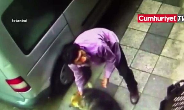 Kadıköy'de sokak köpeğini yumruklayan kişi gözaltında