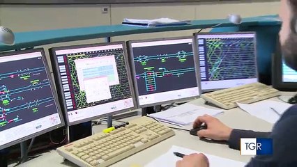 Maltempo, disagi e alberi caduti nel leccese